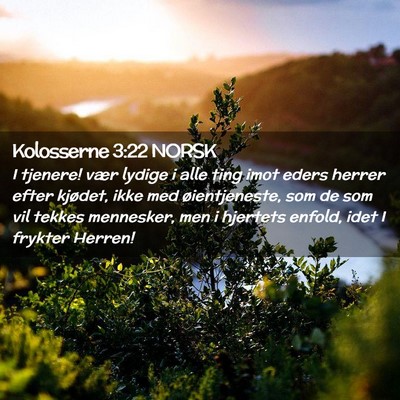 Picture 02 - Kolosserne 3:22 NORSK - I tjenere! vær lydige i alle ting imot eders - Bible Verse Picture