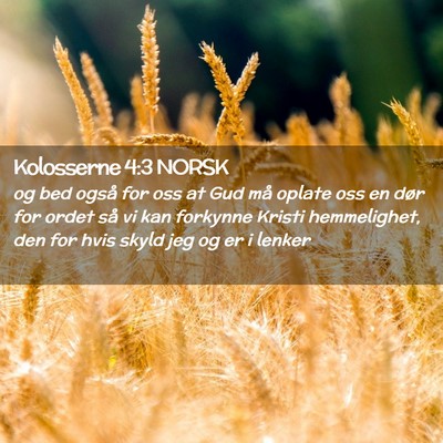 Picture 02 - Kolosserne 4:3 NORSK - og bed også for oss at Gud må oplate oss en - Bible Verse Picture