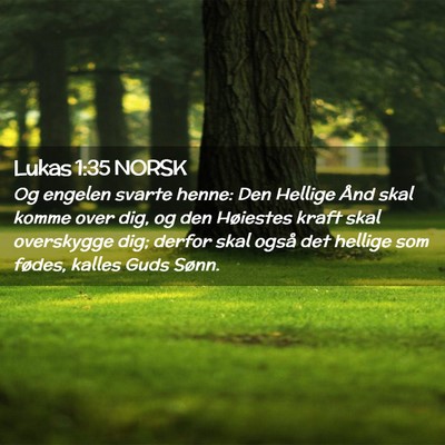 Picture 02 - Lukas 1:35 NORSK - Og engelen svarte henne: Den Hellige Ånd skal - Bible Verse Picture
