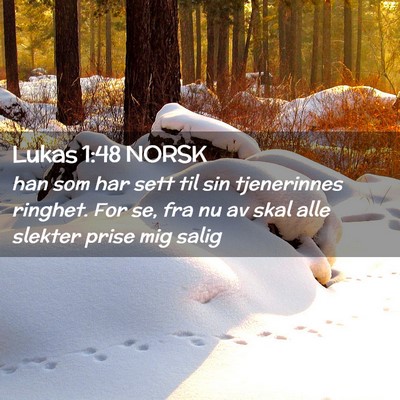 Picture 02 - Lukas 1:48 NORSK - han som har sett til sin tjenerinnes ringhet. For - Bible Verse Picture