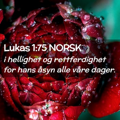 Picture 02 - Lukas 1:75 NORSK - i hellighet og rettferdighet for hans åsyn alle - Bible Verse Picture