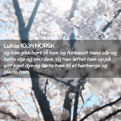 Picture 02 - Lukas 10:34 NORSK - og han gikk bort til ham og forbandt hans sår og - Bible Verse Picture