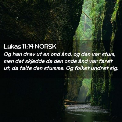 Picture 02 - Lukas 11:14 NORSK - Og han drev ut en ond ånd, og den var stum; men - Bible Verse Picture