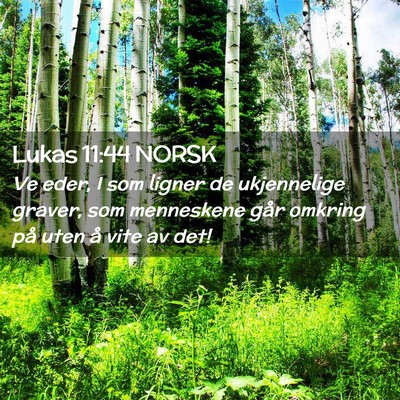 Picture 02 - Lukas 11:44 NORSK - Ve eder, I som ligner de ukjennelige graver, som - Bible Verse Picture