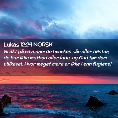 Picture 02 - Lukas 12:24 NORSK - Gi akt på ravnene: de hverken sår eller - Bible Verse Picture