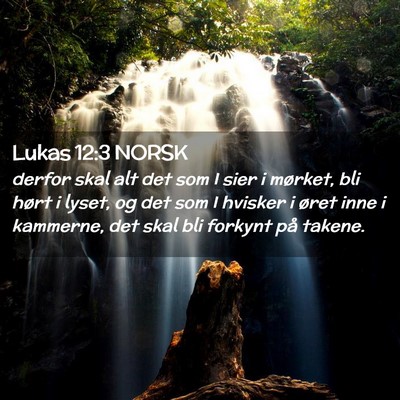 Picture 02 - Lukas 12:3 NORSK - derfor skal alt det som I sier i mørket, bli - Bible Verse Picture