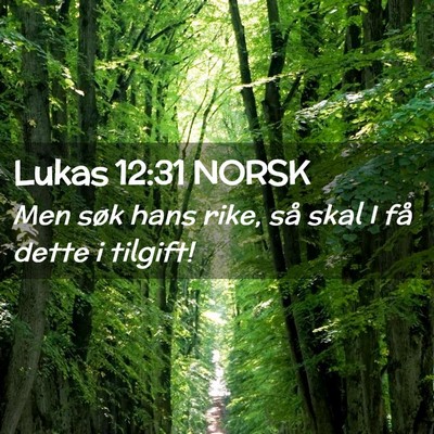 Picture 02 - Lukas 12:31 NORSK - Men søk hans rike, så skal I få dette i - Bible Verse Picture