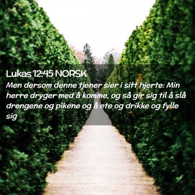 Picture 02 - Lukas 12:45 NORSK - Men dersom denne tjener sier i sitt hjerte: Min - Bible Verse Picture