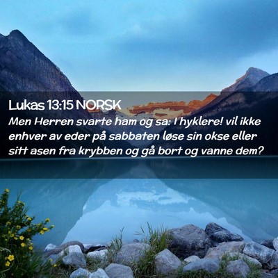Picture 02 - Lukas 13:15 NORSK - Men Herren svarte ham og sa: I hyklere! vil ikke - Bible Verse Picture