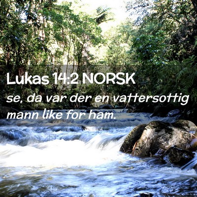 Picture 02 - Lukas 14:2 NORSK - se, da var der en vattersottig mann like for - Bible Verse Picture
