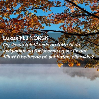 Picture 02 - Lukas 14:3 NORSK - Og Jesus tok til orde og talte til de lovkyndige - Bible Verse Picture