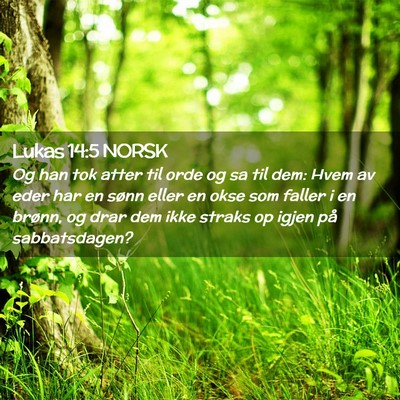 Picture 02 - Lukas 14:5 NORSK - Og han tok atter til orde og sa til dem: Hvem av - Bible Verse Picture