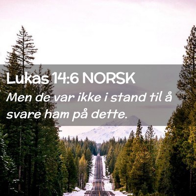 Picture 02 - Lukas 14:6 NORSK - Men de var ikke i stand til å svare ham på - Bible Verse Picture