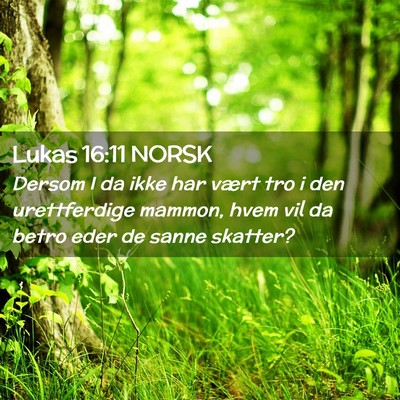 Picture 02 - Lukas 16:11 NORSK - Dersom I da ikke har vært tro i den urettferdige - Bible Verse Picture