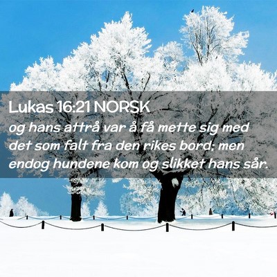 Picture 02 - Lukas 16:21 NORSK - og hans attrå var å få mette sig med det som - Bible Verse Picture