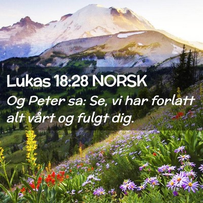 Picture 02 - Lukas 18:28 NORSK - Og Peter sa: Se, vi har forlatt alt vårt og - Bible Verse Picture