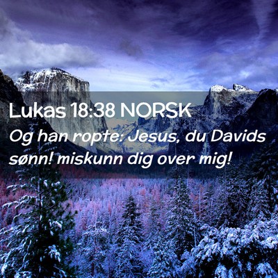 Picture 02 - Lukas 18:38 NORSK - Og han ropte: Jesus, du Davids sønn! miskunn dig - Bible Verse Picture