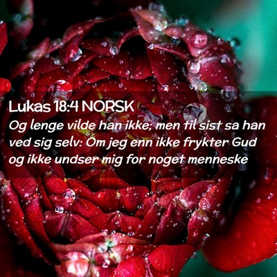 Picture 02 - Lukas 18:4 NORSK - Og lenge vilde han ikke; men til sist sa han ved - Bible Verse Picture