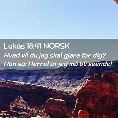 Picture 02 - Lukas 18:41 NORSK - Hvad vil du jeg skal gjøre for dig? Han sa: - Bible Verse Picture