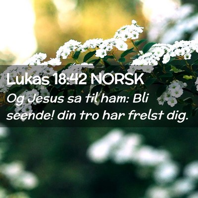 Picture 02 - Lukas 18:42 NORSK - Og Jesus sa til ham: Bli seende! din tro har - Bible Verse Picture