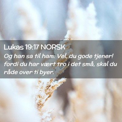 Picture 02 - Lukas 19:17 NORSK - Og han sa til ham: Vel, du gode tjener! fordi du - Bible Verse Picture