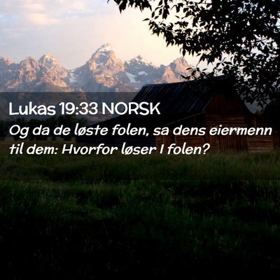 Picture 02 - Lukas 19:33 NORSK - Og da de løste folen, sa dens eiermenn til dem: - Bible Verse Picture