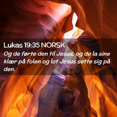 Picture 02 - Lukas 19:35 NORSK - Og de førte den til Jesus, og de la sine klær - Bible Verse Picture