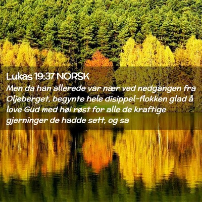 Picture 02 - Lukas 19:37 NORSK - Men da han allerede var nær ved nedgangen fra - Bible Verse Picture