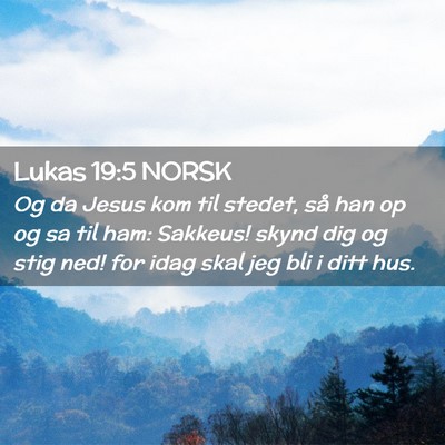 Picture 02 - Lukas 19:5 NORSK - Og da Jesus kom til stedet, så han op og sa til - Bible Verse Picture