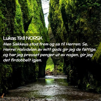 Picture 02 - Lukas 19:8 NORSK - Men Sakkeus stod frem og sa til Herren: Se, - Bible Verse Picture