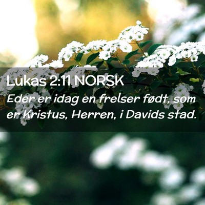 Picture 02 - Lukas 2:11 NORSK - Eder er idag en frelser født, som er Kristus, - Bible Verse Picture