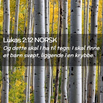Picture 02 - Lukas 2:12 NORSK - Og dette skal I ha til tegn: I skal finne et barn - Bible Verse Picture