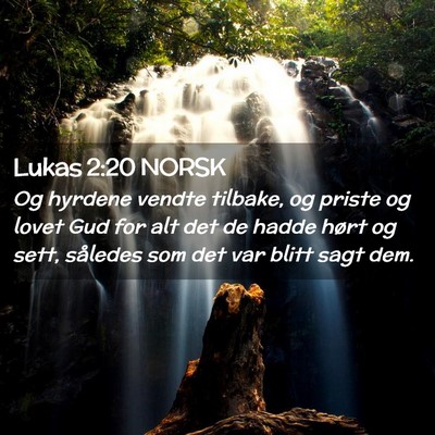 Picture 02 - Lukas 2:20 NORSK - Og hyrdene vendte tilbake, og priste og lovet Gud - Bible Verse Picture