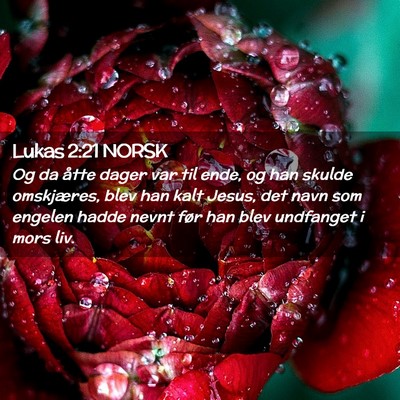 Picture 02 - Lukas 2:21 NORSK - Og da åtte dager var til ende, og han skulde - Bible Verse Picture