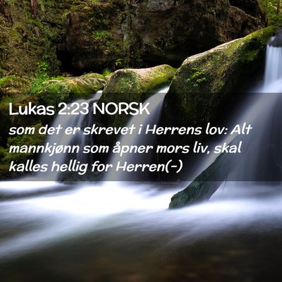 Picture 02 - Lukas 2:23 NORSK - som det er skrevet i Herrens lov: Alt mannkjønn - Bible Verse Picture