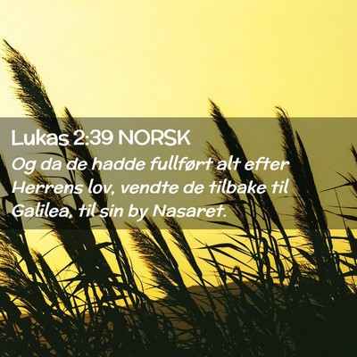 Picture 02 - Lukas 2:39 NORSK - Og da de hadde fullført alt efter Herrens lov, - Bible Verse Picture