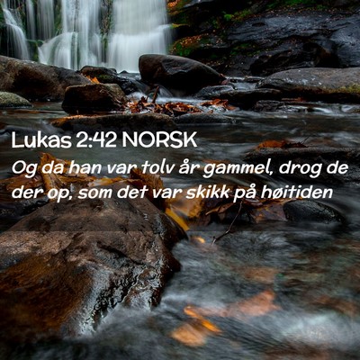 Picture 02 - Lukas 2:42 NORSK - Og da han var tolv år gammel, drog de der op, - Bible Verse Picture