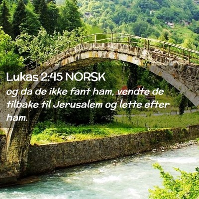 Picture 02 - Lukas 2:45 NORSK - og da de ikke fant ham, vendte de tilbake til - Bible Verse Picture