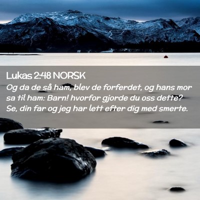 Picture 02 - Lukas 2:48 NORSK - Og da de så ham, blev de forferdet, og hans mor - Bible Verse Picture