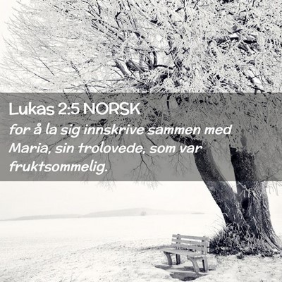 Picture 02 - Lukas 2:5 NORSK - for å la sig innskrive sammen med Maria, sin - Bible Verse Picture