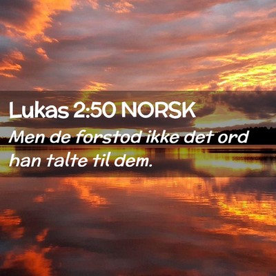 Picture 02 - Lukas 2:50 NORSK - Men de forstod ikke det ord han talte til - Bible Verse Picture