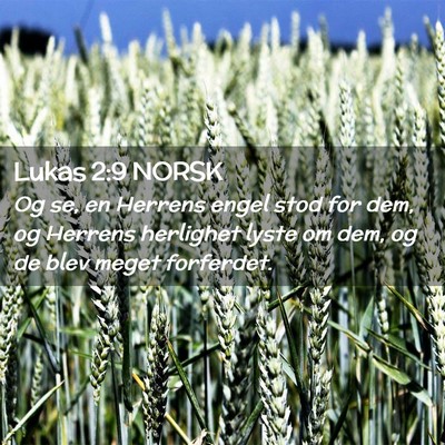 Picture 02 - Lukas 2:9 NORSK - Og se, en Herrens engel stod for dem, og Herrens - Bible Verse Picture