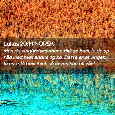Picture 02 - Lukas 20:14 NORSK - Men da vingårdsmennene fikk se ham, la de op - Bible Verse Picture