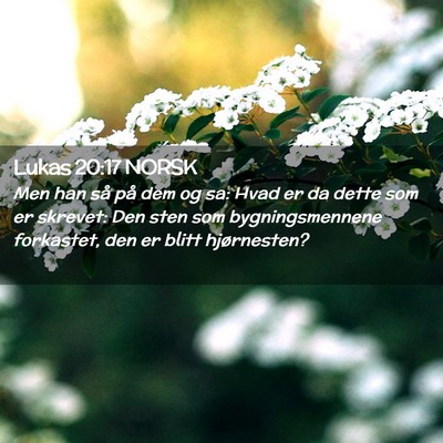 Picture 02 - Lukas 20:17 NORSK - Men han så på dem og sa: Hvad er da dette som - Bible Verse Picture