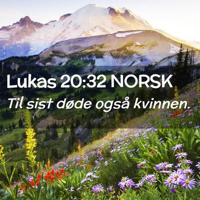 Picture 02 - Lukas 20:32 NORSK - Til sist døde også - Bible Verse Picture
