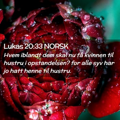 Picture 02 - Lukas 20:33 NORSK - Hvem iblandt dem skal nu få kvinnen til hustru i - Bible Verse Picture