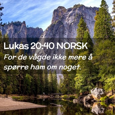 Picture 02 - Lukas 20:40 NORSK - For de vågde ikke mere å spørre ham om - Bible Verse Picture