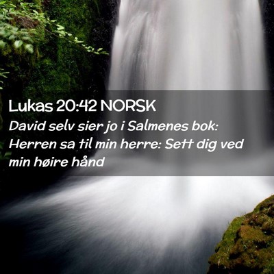 Picture 02 - Lukas 20:42 NORSK - David selv sier jo i Salmenes bok: Herren sa til - Bible Verse Picture