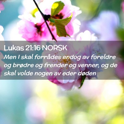 Picture 02 - Lukas 21:16 NORSK - Men I skal forrådes endog av foreldre og brødre - Bible Verse Picture