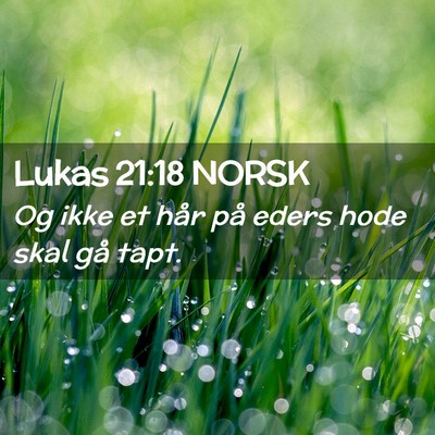 Picture 02 - Lukas 21:18 NORSK - Og ikke et hår på eders hode skal gå - Bible Verse Picture